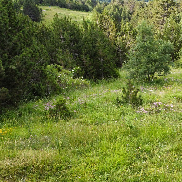 Atemberaubende Landschaft in Prevalle